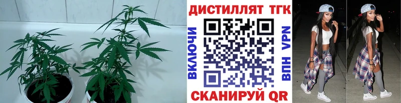 наркошоп  Усть-Илимск  KRAKEN вход  ТГК жижа 